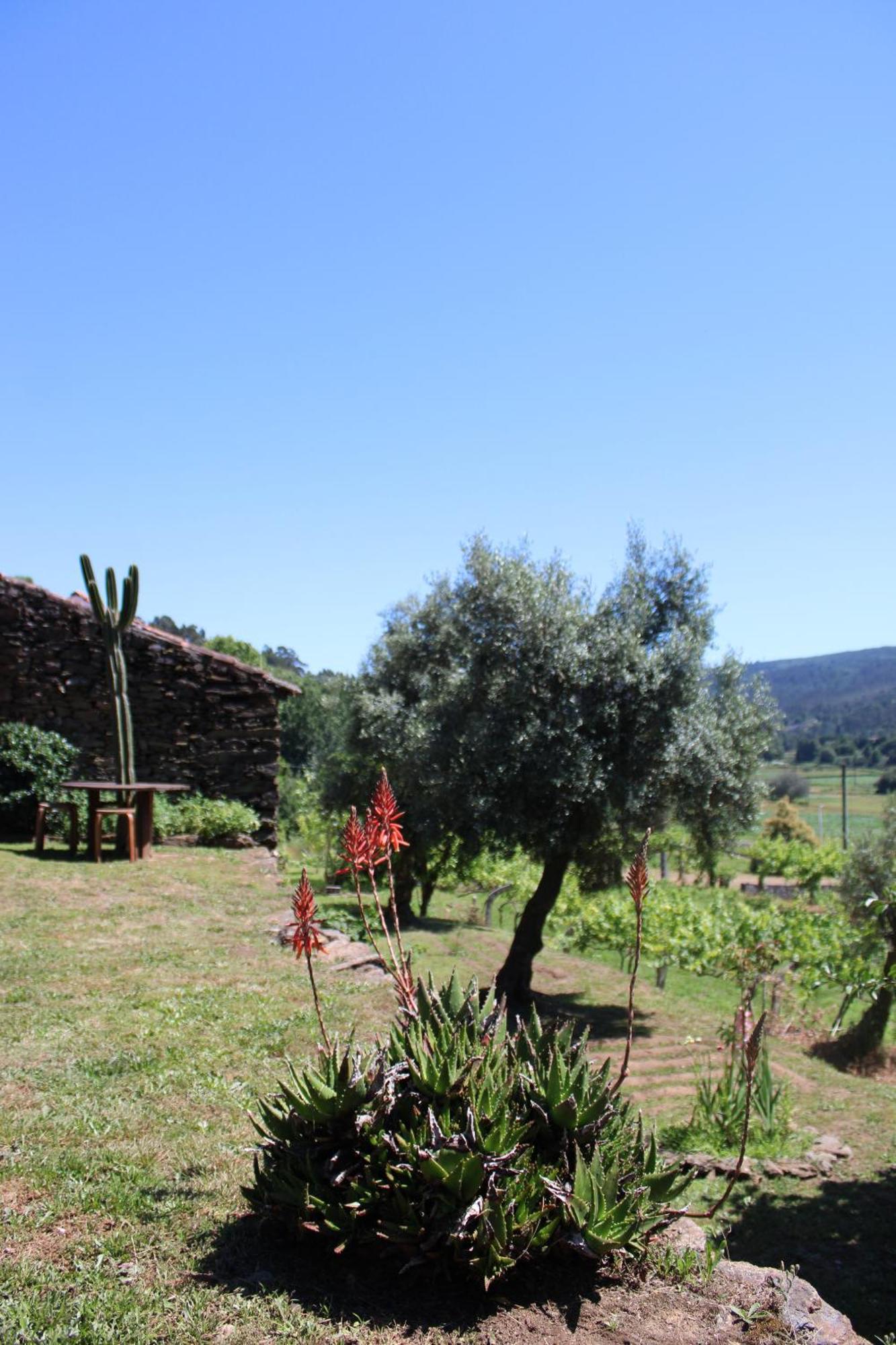 Lugar Da Lourida Villa Caminha Dış mekan fotoğraf